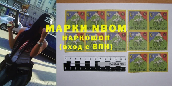 крисы Белокуриха