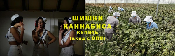 крисы Белокуриха